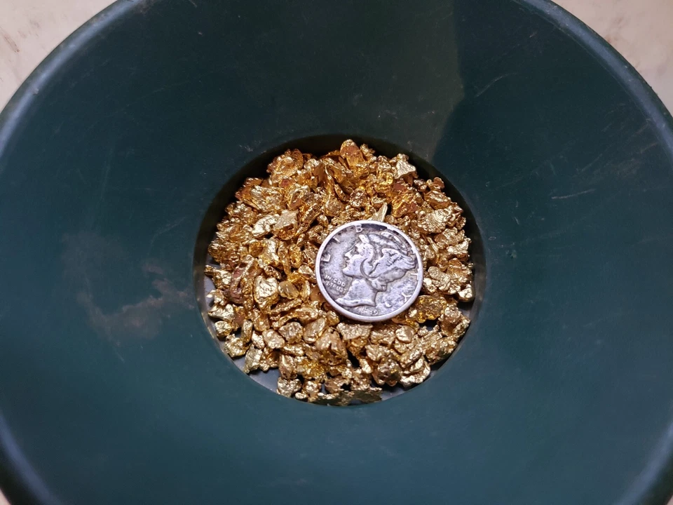 Pepita de oro de EE. UU. de aproximadamente 20-35 libras Paydirt envío gratuito Paydirt Foto 4 de 4