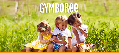NWT Gymboree Girls Hair accessories