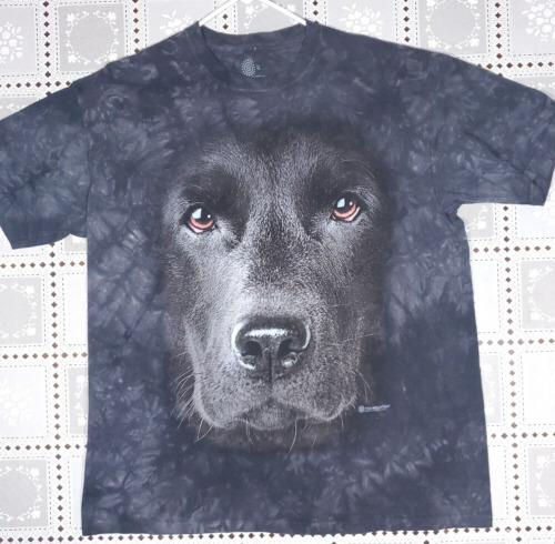 Vintage labrador retriever club - Gem