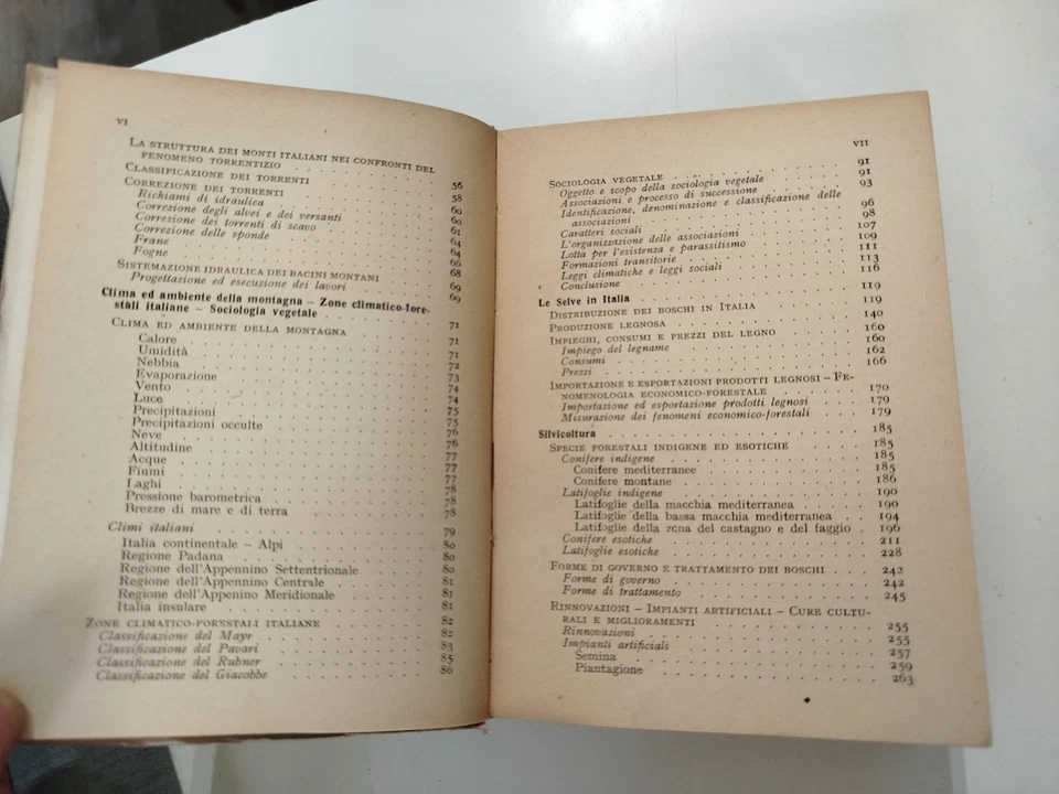 la MINIERA VERDE tecnica Industria Economia Statistica foresta legno montagna - Immagine 3 di 4