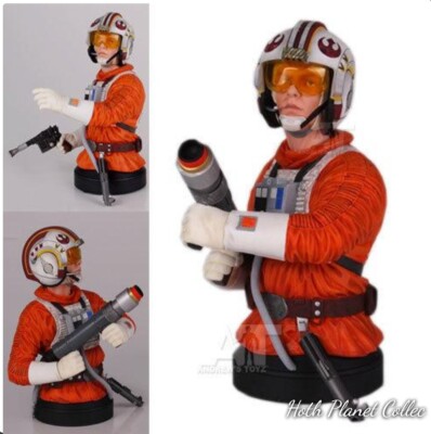 Star Wars Gentle Giant 2013 PGM Luke Skywalker (Snowspeeder Pilot) ~ Mini Bust 