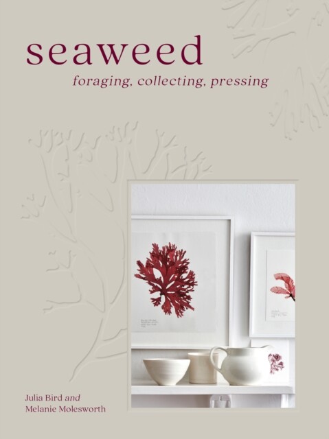 Seaweed 9780008557409 Julia Bird - Free Tracked Delivery