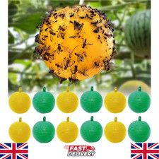 Fruit Fly Balls Fruit Fly Catcher Sticky Trap Insect Bees Fly Killer Garden Use