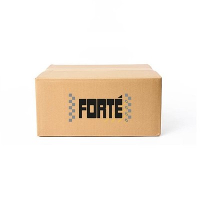 Kraftstoff-Zusatz 002EW2 FORTE