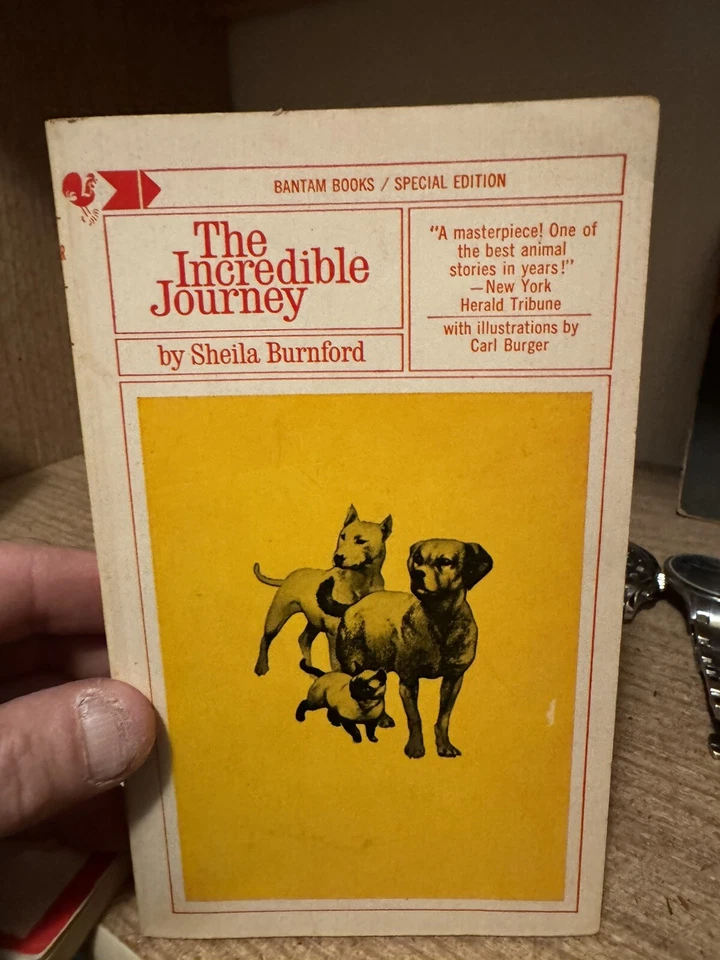 First Edition Classic Titles, Graphic Novels, Comic Books, and Bruce Lee - Image 3 of 4