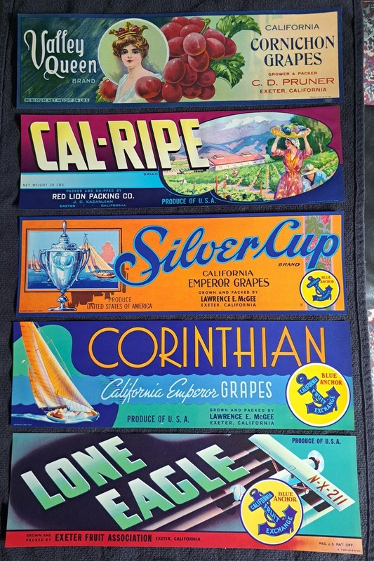 5 Exeter California CA Labels Valley Queen Cal-Ripe Silver Cup Lone Eagle Grapes