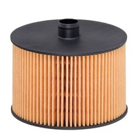 Hengst Filter Kraftstofffilter U.A. FüR CitroËN, Fiat, Ford, Lancia, Peugeot