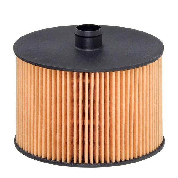 Hengst Filter Kraftstofffilter U.A. FüR CitroËN, Fiat, Ford, Lancia, Peugeot-image