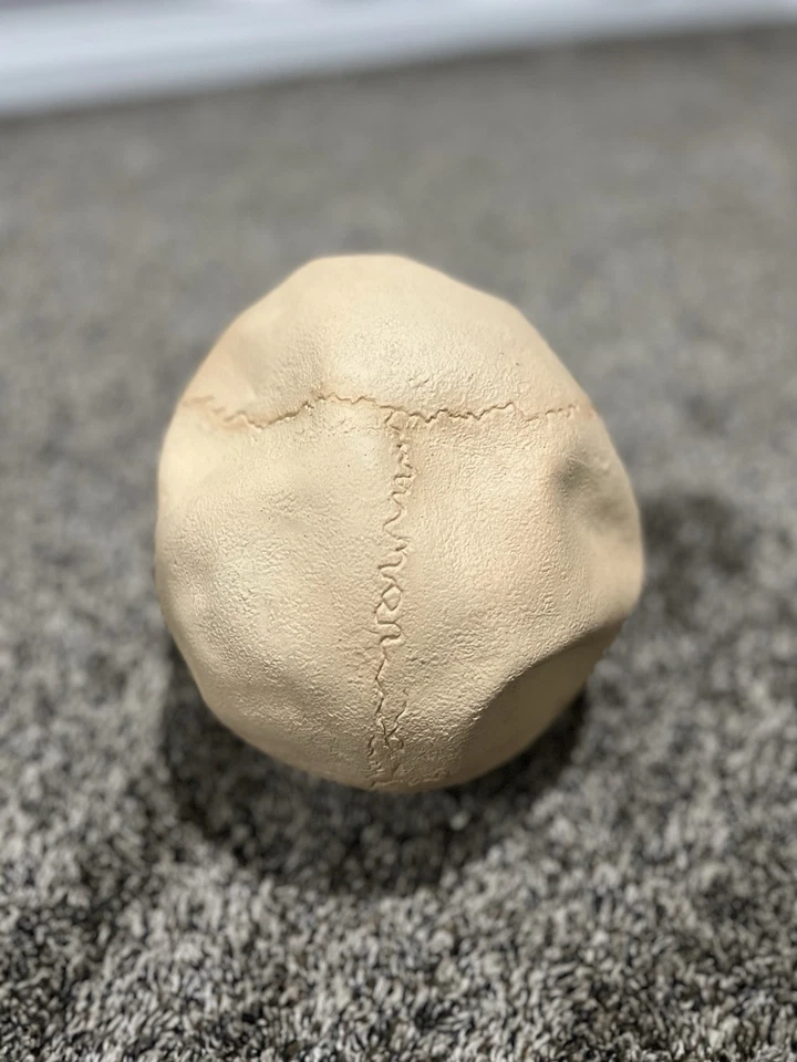 Vintage 90s Skull Mask Human Skeleton Dress Up Halloween Adult Costume Accessory - Image 3 of 4