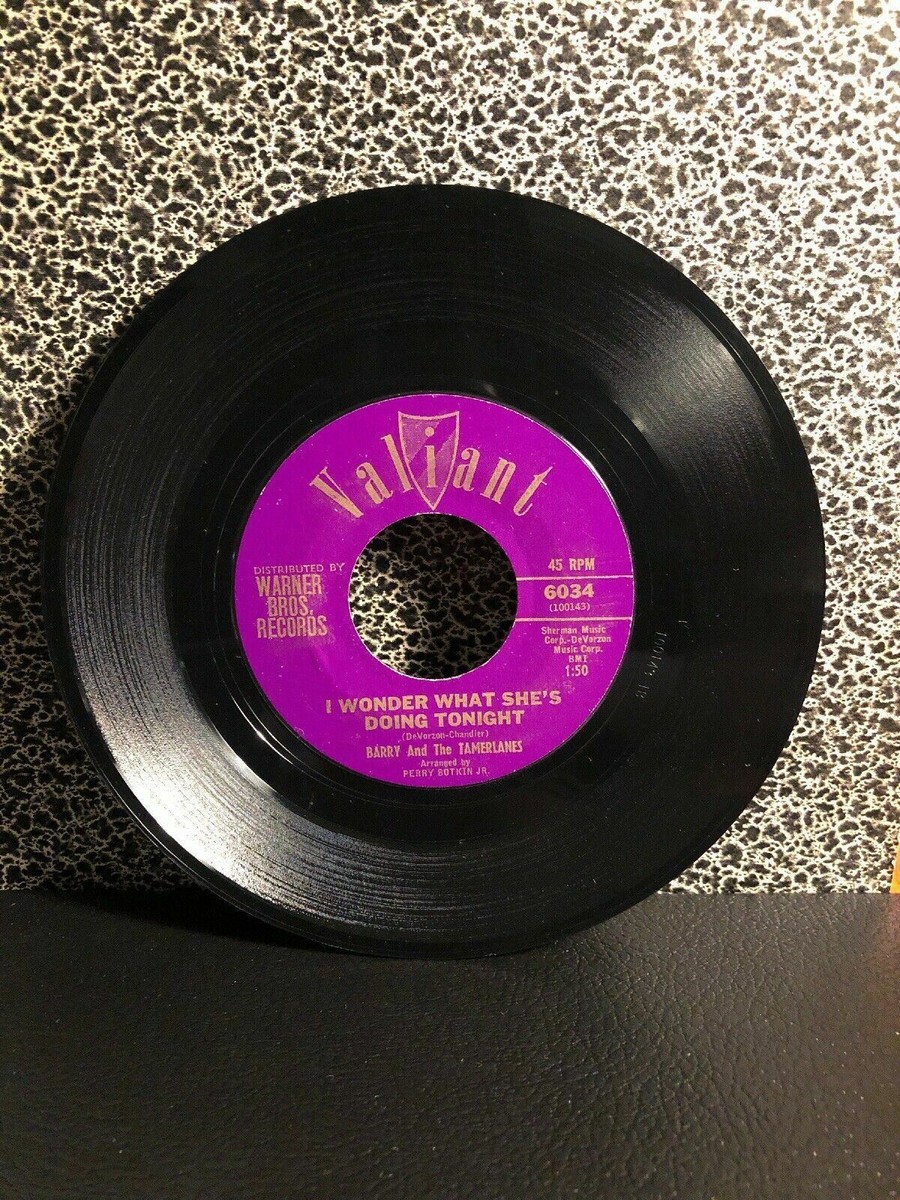 その他 Barry Guy / Statements V-XI - LP Barry Guy - Statements V-XI For Double Bass & Violone LP (1977