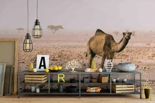 3D Camel Desert Wallpaper Wall Mural Removable Self-adhesive Sticker 396