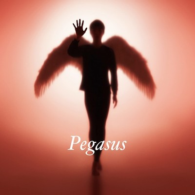 [CD] Pegasus (Regular Edition)_