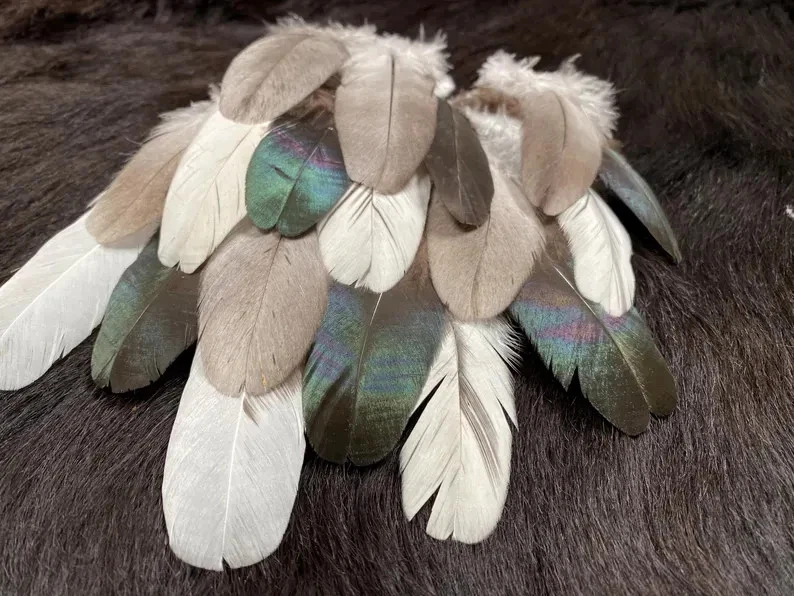 18er Federmix, 7-10cm, 3 Sorten, artgerechte Haltung, Bastelfeder-Mix, Naturfede - Bild 4 von 4