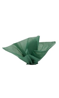 SSWBasics 20'' x 30'' Deep Green Tissue Paper
