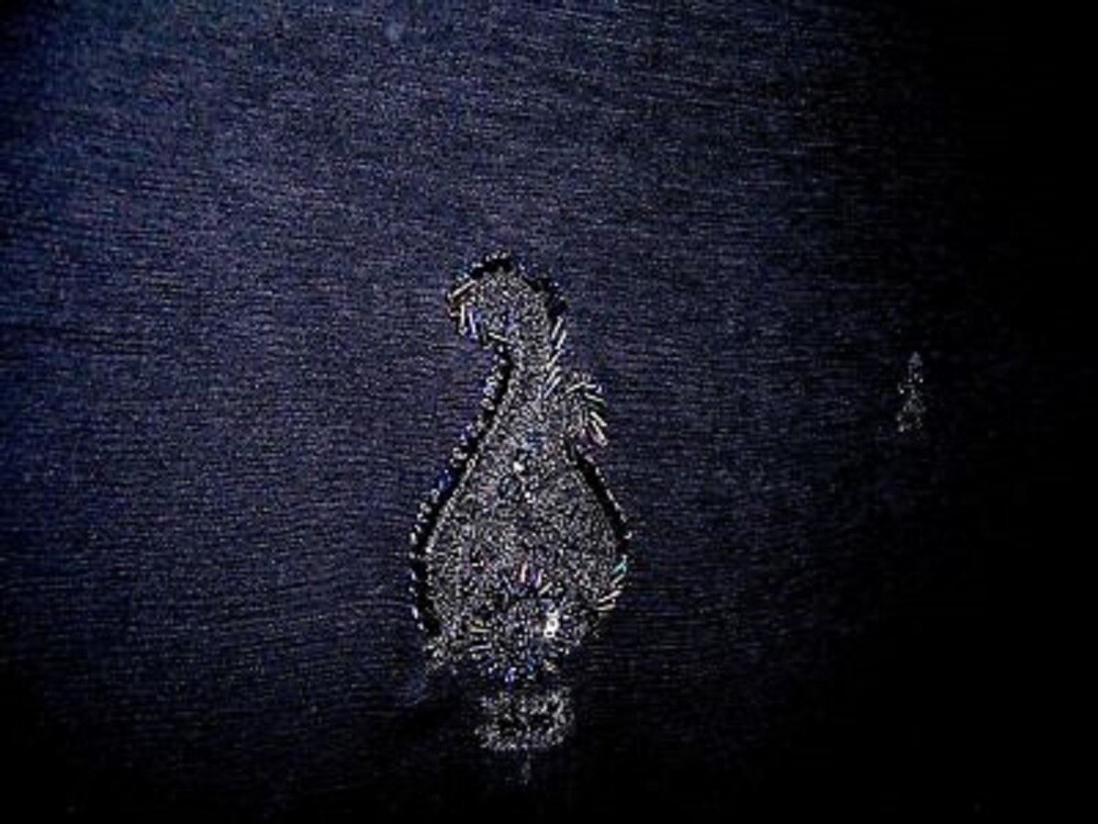 Picture 6 of 12