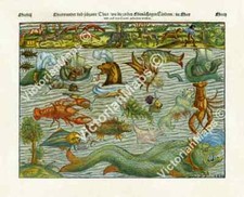 Sea Land Monsters beast serpent antique chart map Munster 1544 art print poster Sea Land Monsters beast serpent antique chart map Munster 1544 art print poster - Image 1