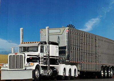 1/64 DCP PETERBILT 389 TRI AXLE W/ 63' FLAT TOP & WILSON QUAD AXLE