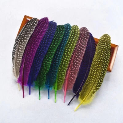 CRAFTY BOX Colourful Spotted Guinea Fowl Wing Feathers Fly Craft Hat Arts Decorations UK