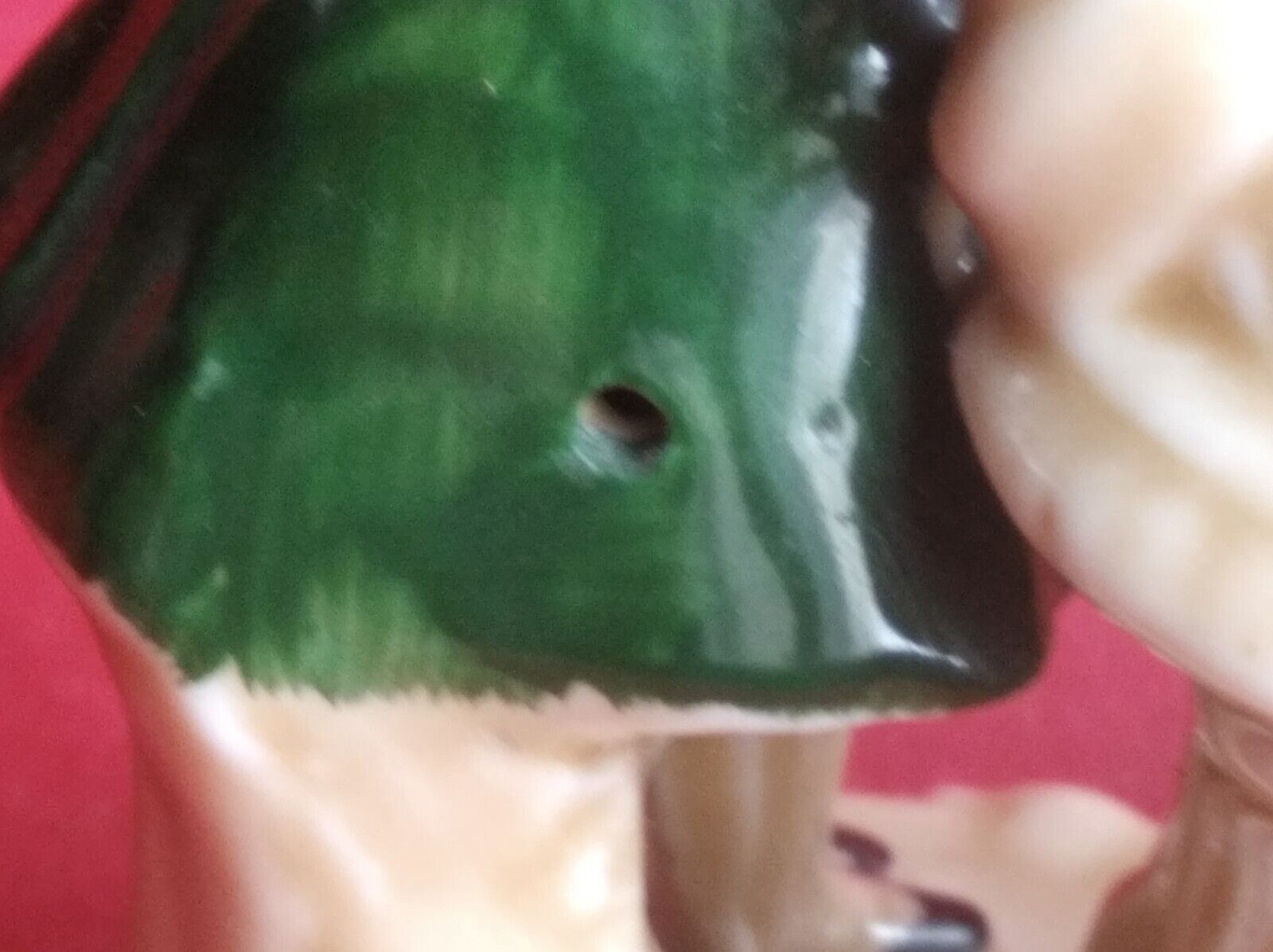 Picture 10 of 17