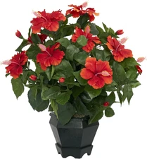 Hibiscus with Black Hexagon Vase Silk Plant