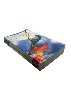 Haim Beer - El Makom Sheharuach Holech - Hebrew Novel - Am Oved Publishing