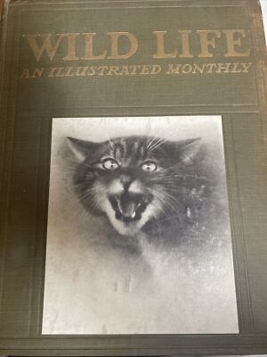 Wild Life An illustrated Monthly magazine Douglas English Vol VI No I Jan 1915