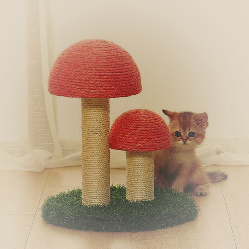 Cat Climbing Frame Accessories Exercise Toy Plaything for Paws eBay