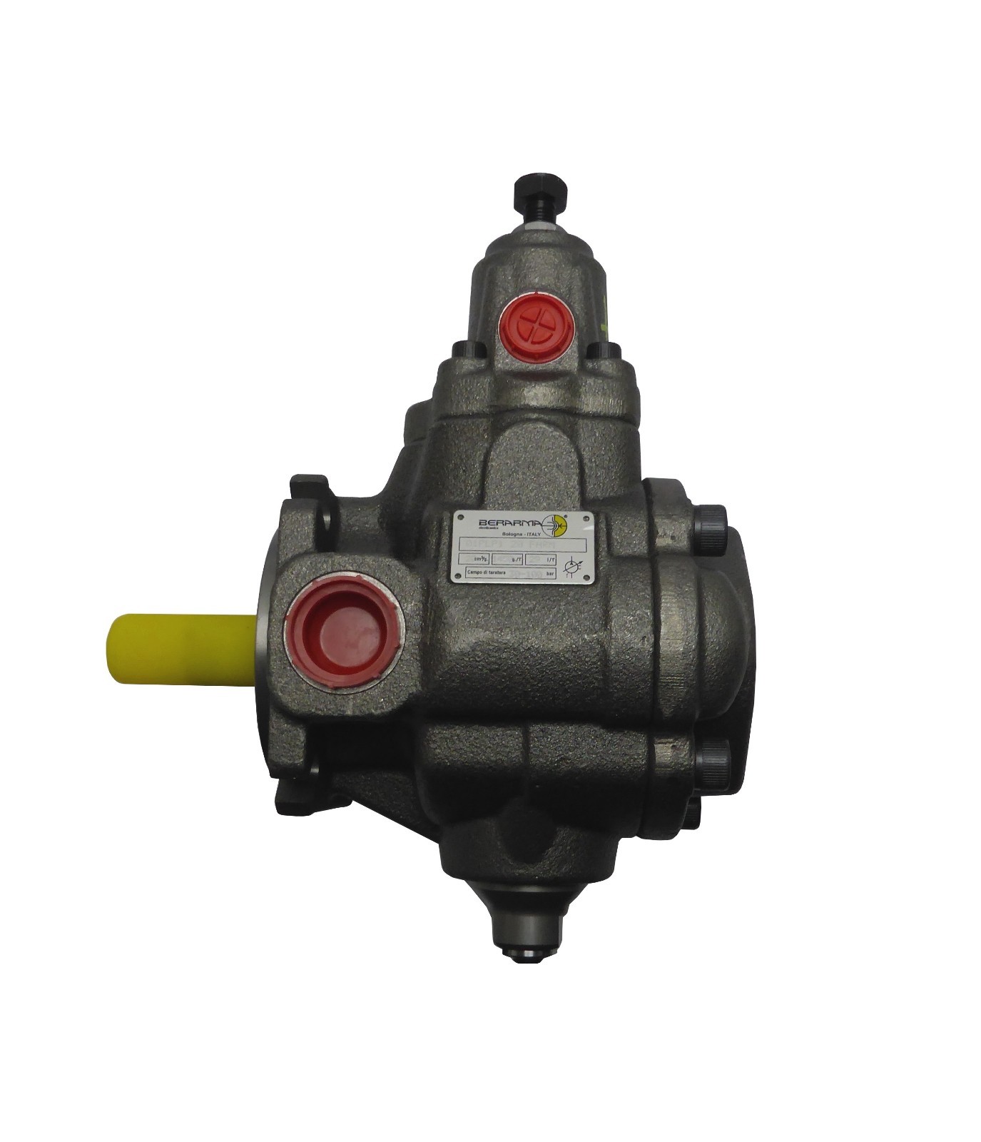 01-PLP-1-20-FHRM Berarma Flügelzellenpumpe Vane pump