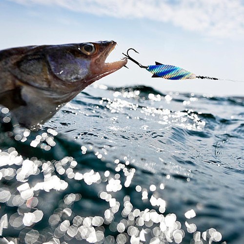 20pcs Reflective DIY Fishing Lure Sticker Holographic Adhesive Film Flash Tape - Picture 8 of 11