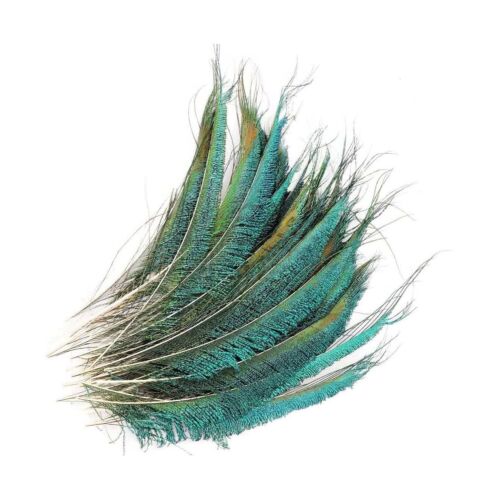 Natürlich Fasan Rücken Pfau Rücken Federn Fly Basteln Deko Hochzeit UK - Bild 6 von 13