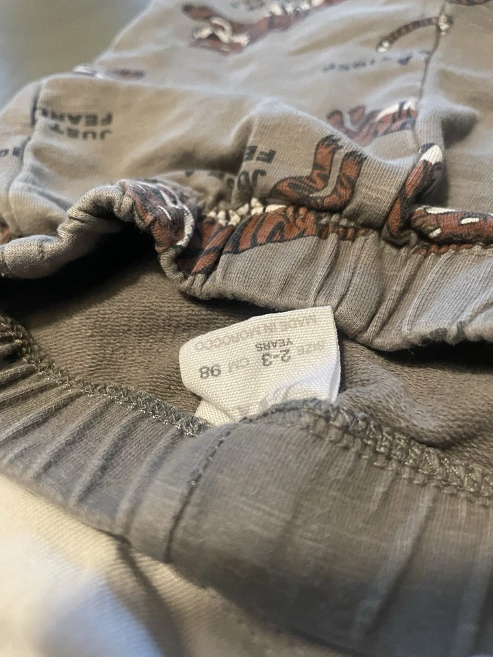 Camisa y pantalones de manga larga Zara 2-3T Tigers Are Awesome Foto 3 de 4