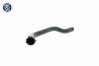 Vaico KüHlerschlauch V10-2347 FüR Audi Seat Skoda VW