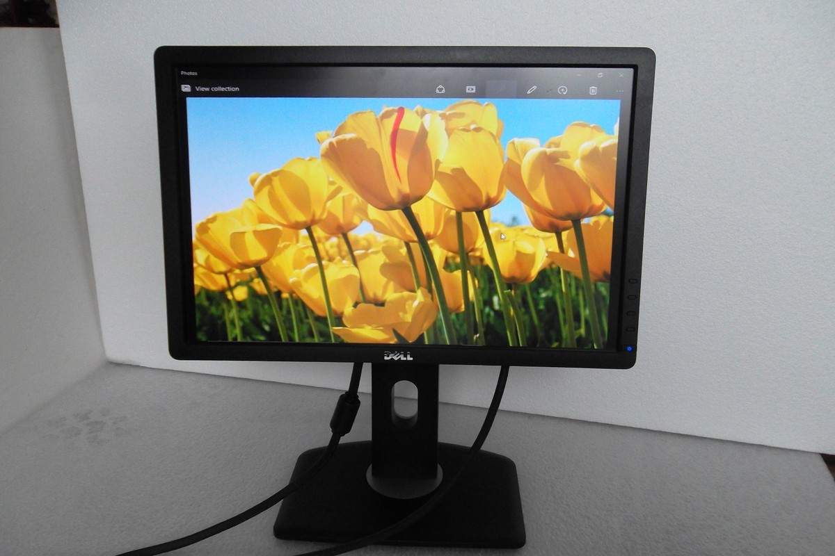 Dell P1913b P1913t 19