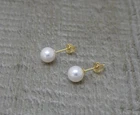 Beautiful 18ct Yellow Gold 5.5mm Akoya Pearl Stud Earrings ZW116 (New)