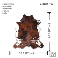 Cowhide Dark Brindle Tricolor High Quality Hair on Hide Size: X-Jumbo(XXL)BR162