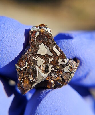 Meteorite**NWA 16774, Pallasite**3.375 gram, Gorgeous Etched Pallasite!