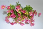 Bild 7 von 15