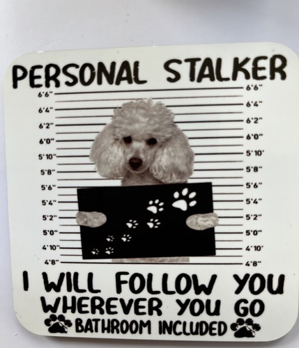 Poodle mug and Coaster personal stalker) Would Make Nice Gift - Picture 3 of 3