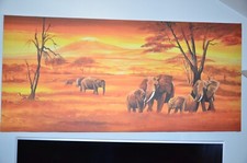 Leinwand  Bild African Wildlife Mia Morro  17...