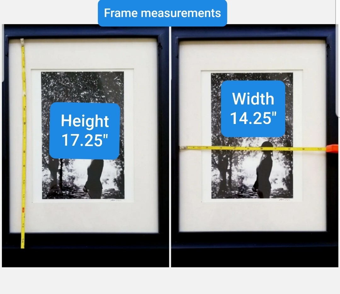 ROBIN RICE 1st-ed signed 1-of-25 equestrian horseback derby racing framed photo