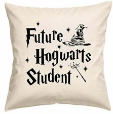 Future Student Funny Wizard Inspired 20" x 20" Concealed Zippered Pillow Cover
