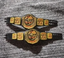 Mattel WWE Elite ECW World Tag Team Championship Title 2 Belt Lot f 1:12 Figures