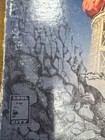 Foto 2 di 9