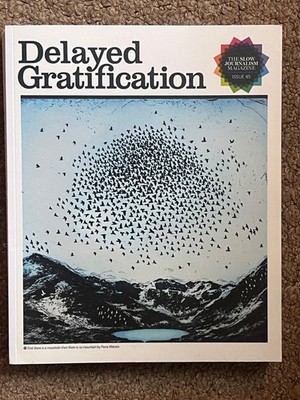 TWO Delayed Gratification Slow Journalism Mags - Issues 45 & 46 2021-22