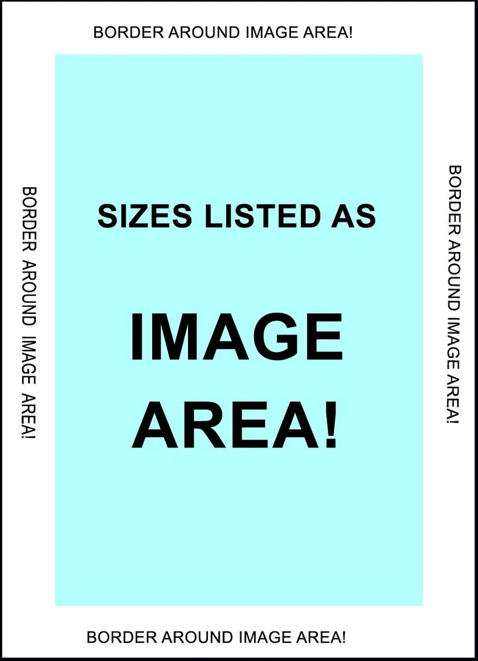 PÓSTER REPRO FESTIVAL DE MÚSICA DU PAGE COUNTY CENTENNIAL WHEATON ORCHESTRA DE COLECCIÓN  Foto 2 de 3