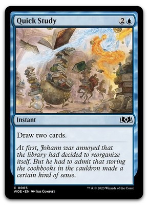Quick Study #65 (NM) Wilds of Eldraine WOE Magic MTG