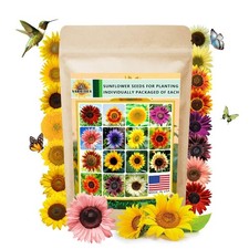 1000 Sunflower Seeds for Planting Heirloom