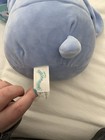 pj 8" claire's special edition squishmallow — photo 8