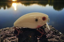 Circuit Board Wake Bait