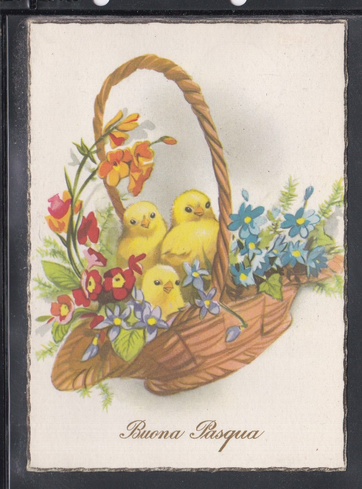 Cartolina Buona Pasqua Cestino Pulcini Fiori ZB1038